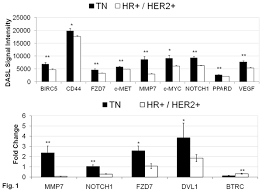 It comes with an origi. Differential Activation Of Wnt B Catenin Pathway In Triple Negative Breast Cancer Increases Mmp7 In A Pten Dependent Manner