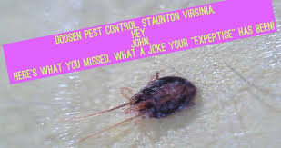 Started was founded in 1944 in lynchburg, virginia. Dodson Pest Control 1001 Seth Dr Staunton Va Pest Control Mapquest