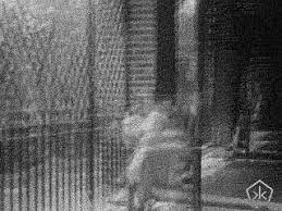 We've searched our database for all the gifs related to schizophrenia. Schizofrenia Gifs Get The Best Gif On Giphy