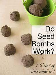 Do Seed Bombs Work I Kind Of Don T Think So Crafting A Green World Seed Bombs Seed Bombs Diy Seed Bombs Kids