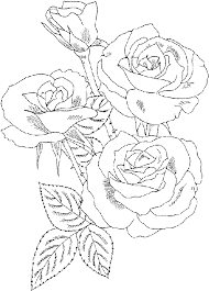 Roses Flower Coloring Pages Name Coloring Pages Rose Coloring Pages Coloring Pages