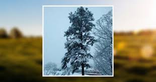 Henry Vernon Evans Jr. Obituary October 11, 2024