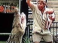 The h0rrific sounds of timothy treadwell being e@ten a1ive Crocodile Hunter Steve Irwin Fernsehstar Von Rochen Getotet Panorama Sz De