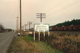 Image result for Red Marina 1994 UMM