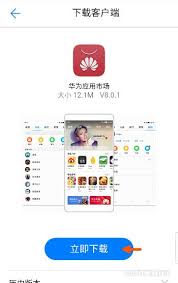 Download google installer v3.0 apk to install google play store on your huawei, honor, xiaomi, poco, redmi, and other chinese devices. How To Install Huawei App Store On Your Android Phone