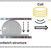 A High-Sensitivity Magnetic Field Sensor Based on PDMS ...