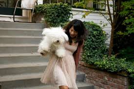 Pics We Love Mark Zuckerberg S Dog Beast On Facebook Facebook Dog Beast Dogs