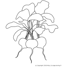epingle par lebel gaston sur publicite image a colorier dessin plante coloriage panda