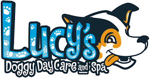Maybe you would like to learn more about one of these? Dog Grooming Lucy S Doggy Daycare And Spa In San Antonio