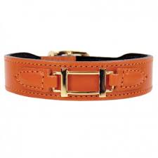 Made from soft but sturdy a cat collar with id tags is all you need to keep your furry friend safe and sound in all situations. Hermes Style In Tangerine Gold Dog Collar