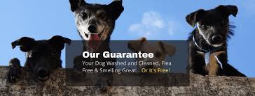 We provide excellent products such. About Us Mobile Dog Grooming Vegas