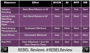 Pin By Knowmedge On Cardiovascular Disease Internal Medicine Medicine Cardiovascular System