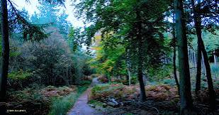 Attractions and Places To See around Little Budworth - Top 20 | Komoot