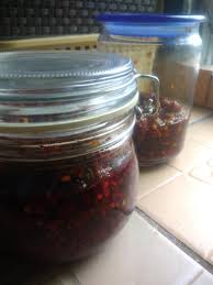 Sambal andaliman bisa disantap dengan lauk seperti ikan emas buku sambal komplit selera nusantara (2012) karya great! Resepi Chinese Chili Oil Catatan Sue Izza
