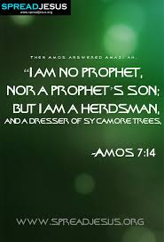 Amos was a shepherd and farmer from the judean village of tekoa, about five miles south of bethlehem, who had a vision and became a prophet for the lord. Prophet Amos Quotes Quotesgram