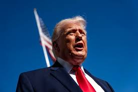 Trend Google: trump papa