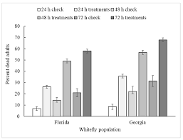 I had an unexpected bed bug issue from travelling, and the foundation pest control team gave me a competitive quote within 24 hours, and arrived to treat my house in two days. Insects Free Full Text Comparison Of Toxicological Bioassays For Whiteflies Html