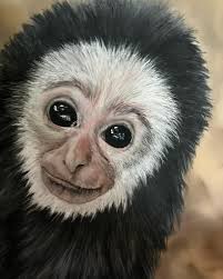 Pam Ball (@petportraitsbypam) • Instagram photos and videos