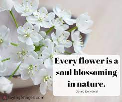Flowers are an easy, eloquent expression of love at a time when words can seem. 50 Love Flowers Quotes Wisdom Quotes