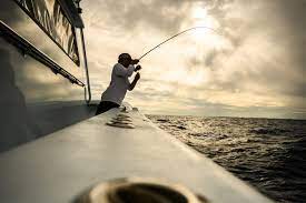Find fishing rods, reels, lures & other gear for freshwater, saltwater & fly fishing. Penn Saltwater Fishing Gear Fishing Tackle Supplies Penn Fishing