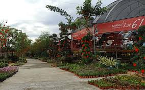 De juiste tijd in kampung sungai buloh. Paling Horticulture Sdn Bhd Home Facebook