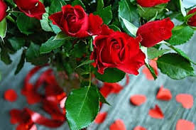 Maybe you would like to learn more about one of these? Page 14 Royalty Free Flower Hearts Photos Pikist