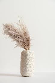 Trendwatch Pampas Grass Inattendu Pampas Grass Very Small Wedding Dried Flowers