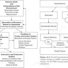 3 The Generation Of Stress Responses The Flowchart