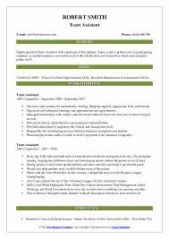 Team Assistant Resume Samples Qwikresume