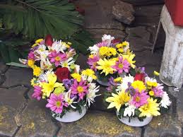 We did not find results for: Dangwa Flower Power On Wholesale Philippine Observers