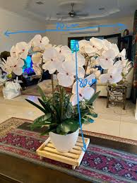 Menggambar flora atau fauna adalah menggambar objek tumbuhan atau hewan yang memiliki bentuk secara nyata artinya tidak ada gubahan bentuk atau distorsi bentuk. Artificial Orchid Decor Gubahan Bunga Orkid Home Furniture Home Decor On Carousell