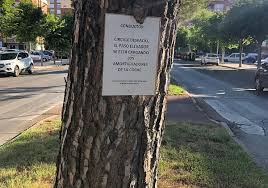 Giulia_snz porn heightened asian model with a model type