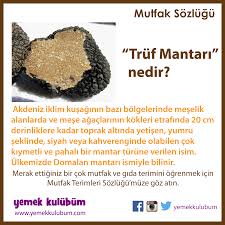 Mutfak Ve Gida Terimleri Sozlugu Truf Mantari Nedir Http Yemekkulubum Com Kategori Mutfak Ve Gida Terimleri Sozlugu Yemek Gida Yemek Tarifleri