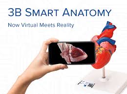 New 3b Smart Anatomy Medical Simulators Anatomical