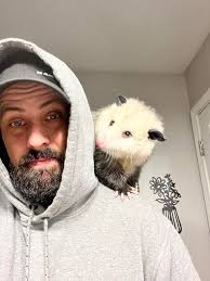 Opossum Care and Feeding