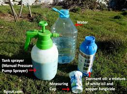 Why spray apple trees with copper sulfate spraying apple tree trunks and their leaves with various substances in spring and autumn is necessary to protect the tree from diseases and pests. Dormant Oil Sprays On Fruit Trees With Photos Videos Fignut