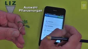 Unkrauter Sicher Per App Erkennen Youtube