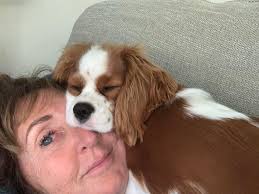 Raising an 11-month-old baby girl