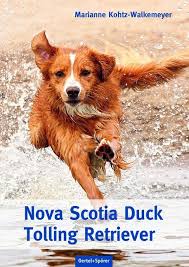 Tolling red decoy dogs probably accompanied their masters from great britain to nova scotia. Nova Scotia Duck Tolling Retriever Produkt
