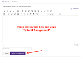 Slow Network How To Submit Your Assignments Using Text Entry