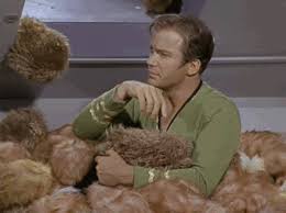 However, unlike q&a, this episode doesn't take place on that particular vessel. Occasional Randomness They Really Should Have Let Khan Sleep Star Trek Tribbles Star Trek Movies Star Trek Images
