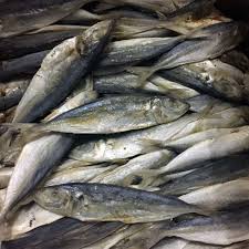 Check spelling or type a new query. 10 Jenis Ikan Asin Favorit Masyarakat Indonesia Mana Kesukaanmu