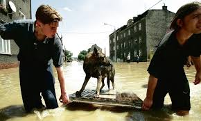 Filmik z zalanych okolic dworca kolejowego pkp racibórz w czasie powodzi w 1997 roku. Powodz Tysiaclecia 1997 Slask Pod Woda Zdjecia Archiwalne Galerie Dziennik Zachodni