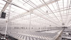 The company offers sativa, indica and hybrid medical marijuana products, as well as cannabis oils. Koshinski Asset Management Discloses New Stake In Aphria The Daily Marijuana Observer
