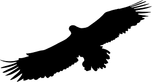 Eagle Wildlife Silhouette Png Clipart Royalty Free Svg Png Download transparent eagle silhouette png for free on pngkey.com. eagle wildlife silhouette png clipart