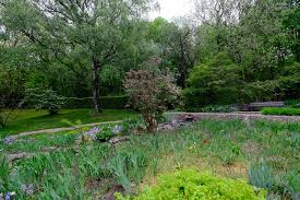Im botanischen garten sind hunde erlaubt sofern sie an der kurzen leine geführt werden. Picture Germany Botanischer Garten Solingen Nature Parks Trees