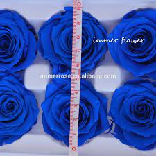 You get the chance to build your own personalized arrangements by adding or removing stems and wholesale preserved flowers that will last longer with pretty much no maintenance needed. Wholesale The Real Natural Flower Preserved Roses Usa Buy Preserved Roses Usa Wholesale Flower Preserved Rose Product On Alibaba Com