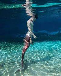 Pin By Daiana Luna On Unter Wasser Mermaid Photography Male Mermaid Realistic Mermaid