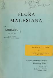 Image result for Ascolepis trigona