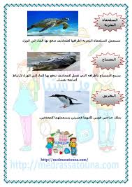 التنقل عند الحيوانات في الماء السنة الثالثة مدرستنا